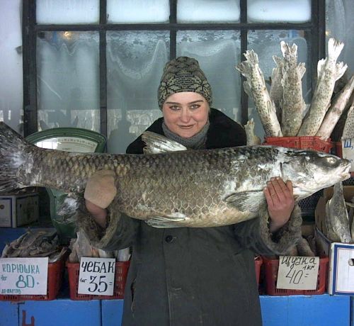 Именно так хотят встречать покупателя работники центральной ярмарки Комсомольска-на-Амуре.