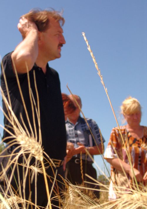 Николай Волков