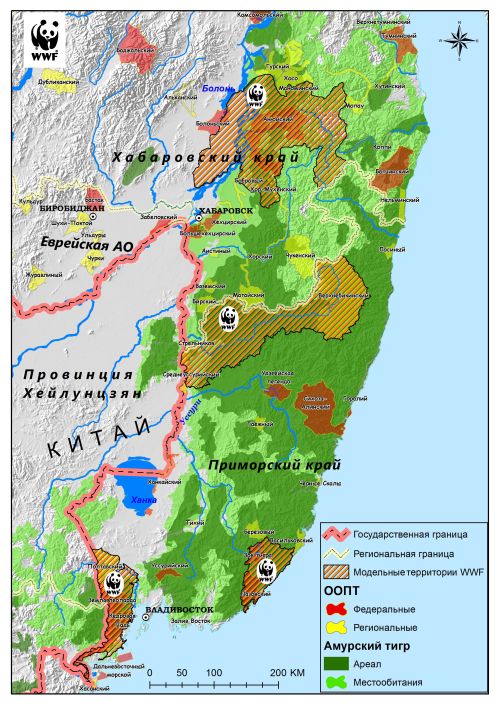 Ареал амурского тигра