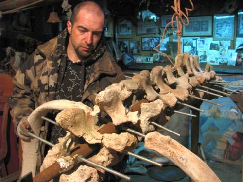 Сергей Пасенюк и корова Стеллера