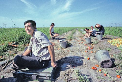 Китайские рабочие не прочь переселиться в Россию. Фото Эпсилон/PhotoXPress.ru