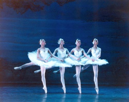 «Лебединое озеро»