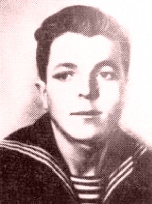 Владимир Моисеенко