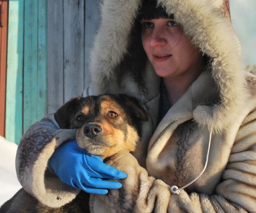 Активисты Зооспас борются за жизнь каждого бездомыша («дворянина» по клике Герой дважды предавали хозяева, но каждый раз, голодный и израненный пес самостоятельно приходил за помощью к калитке «собачьего приюта» в Комсомольске).