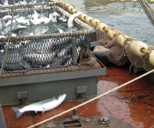 Фото С.Балбашова