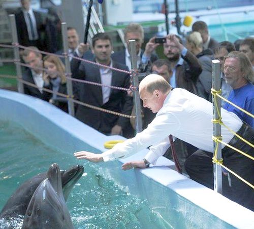 Владимир Путин во время посещения океанариума во Владивостоке. 2013 г., тогда он только строился. Фото пресс-службы Президента России.