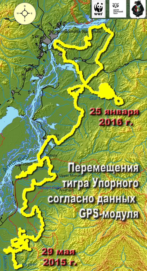 Перемещения Упорного в 2016 году