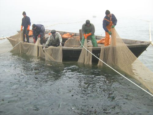 Фото С.Балбашова