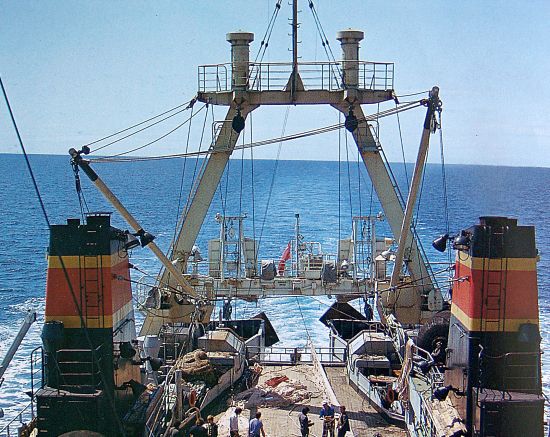 Фото С.Балбашова