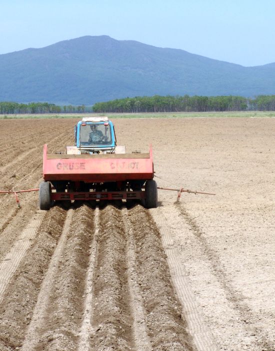 Пахотная земля. Фото С. Балбашова.