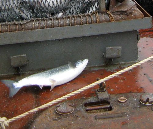 Есть данные, что годовой вылов рыбы 12 корейскими компаниями, скрыто владеющими российскими рыбодобывающими предприятиями на Дальнем Востоке, составляет порядка 100 тыс. тонн. Фото С. Балбашова