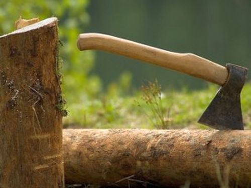 Руководили недолго, но дров наломать успели.