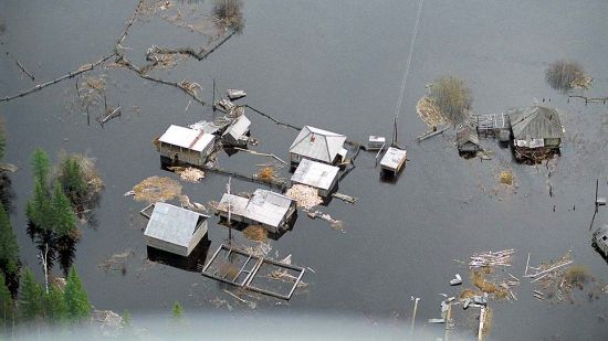 Приморье. Фото: Иван Шаповалов / Коммерсантъ