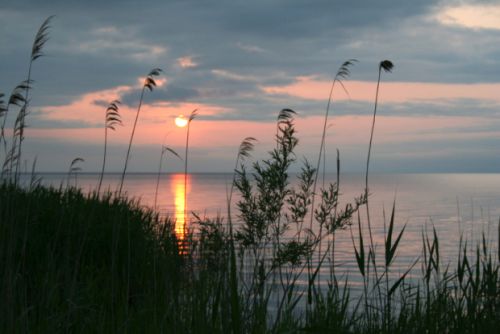 Озеро Ханка