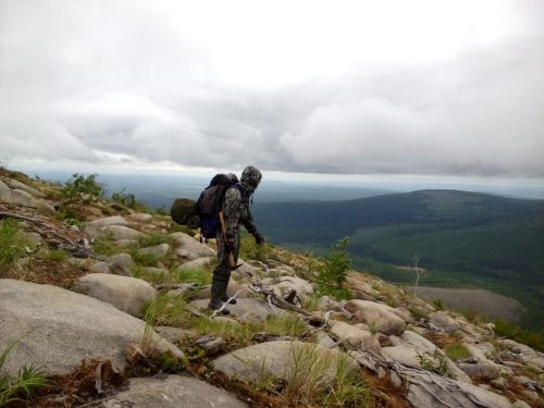 Хабаровские геофизики закончили поисковую работу в Многовершинном.
