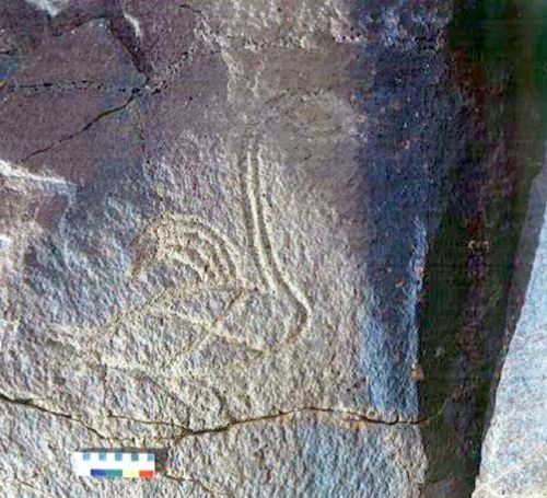 Шереметьевская птица