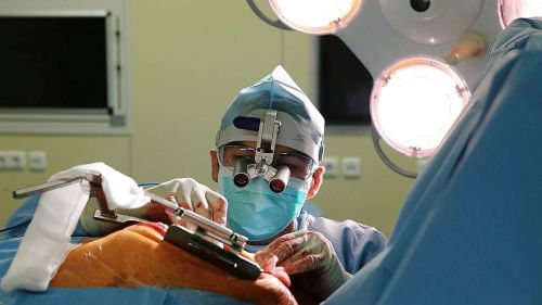 Фото: Евгений Переверзев / Коммерсантъ