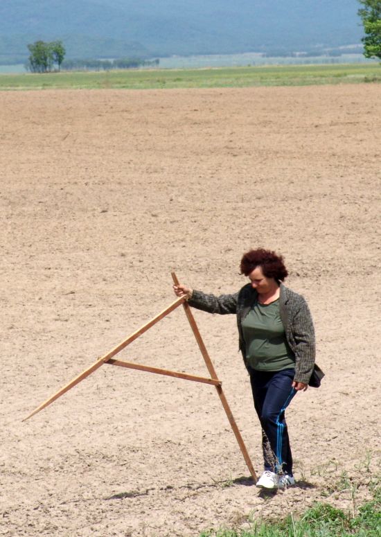 Скоро начнется массовое освоение гектаров. Фото Сергея Балбашова