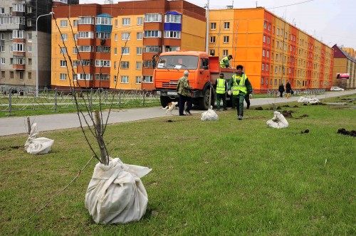 Южно-Сахалинск: «зачистка» на улице Горького.