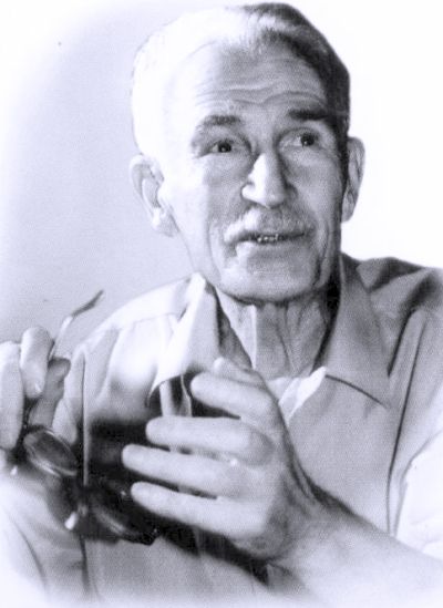 Николай Наволочкин