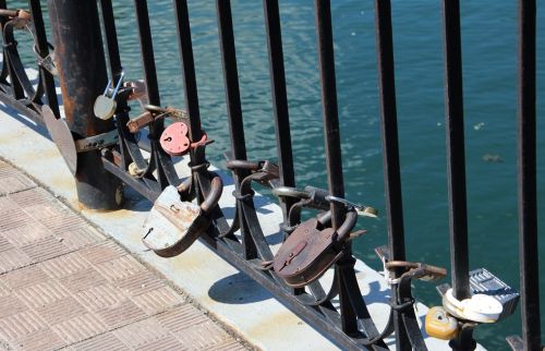 Из-за ряски, которую приходится вычерпывать сачками, пруд выглядит зеленым и изрядно смахивает на болото