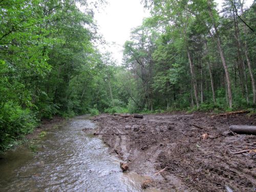 Так выглядят последствия рубок в защитных лесах. Фото Дмитрия Сычикова, Амурский филиал WWF России