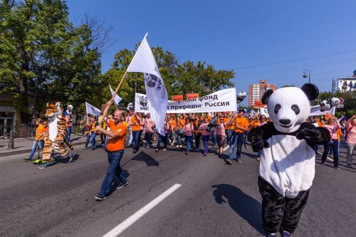 WWF на Дне Тигра, фото Дмитрия Сычикова, WWF России