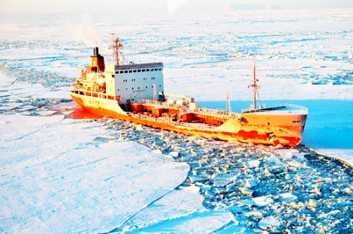 Арктика. Фото: Wikimedia.оrg