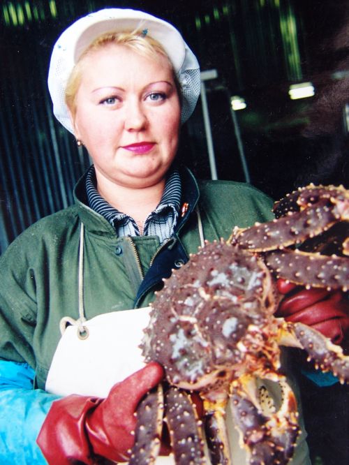 Когда крабы поступят на наши прилавки? Фото Сергея Балбашова