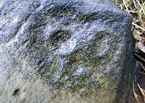 На вертикальных гранях валуна средних размеров зафиксированы две личины, одна из которых парциальная, другая имеет сердцевидный внешний контур