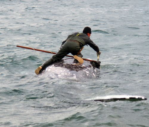 Традиционные китобои в с. Лаврентия