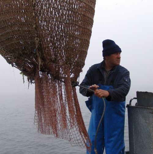 Фото Сергея Балбашова.