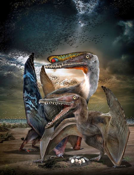 Пара птерозавров Hamipterus tianshanensis у гнезда в представлении художника Chuang Zhao