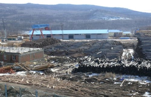  Поселок Амазар. Заготовленный китайцами лес. Фото Амурского филиала WWF России