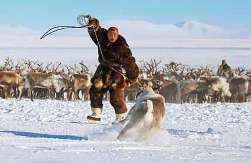 Крайний Север