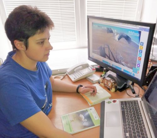 Анна Барма WWF России наблюдает за аистом онлайн