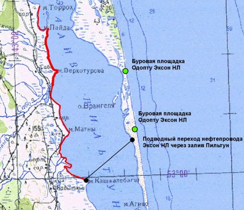 Схема расположения погибшей сельди и трубопровода ЭНЛ