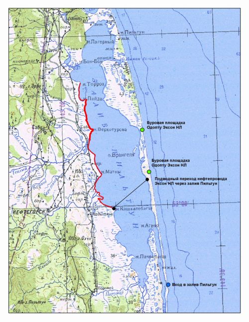 Схема расположения погибшей сельди и трубопровода ЭНЛ
