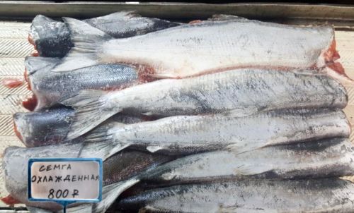 Фальсификат