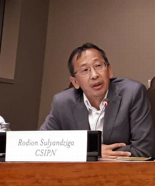 Родион Суляндзига выступает на постоянном Форуме ООН по коренным народам. Фото Амурского филиала WWF