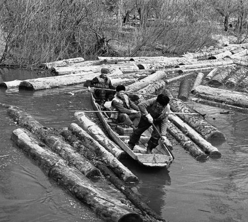 Лесосплавщики прошлого века. Фото из архива Сергея Семеновича Балбашова