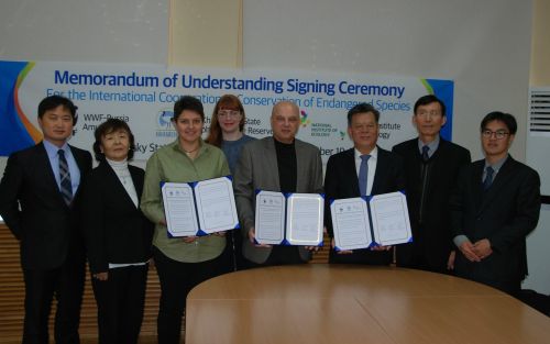 Стороны договорились прилагать совместные усилия для развития сотрудничества в области охраны дальневосточного аиста, проведения исследовательских проектов и обмена информацией, организация научных и образовательных встреч. Фото предоставлено Ханкайским заповедником