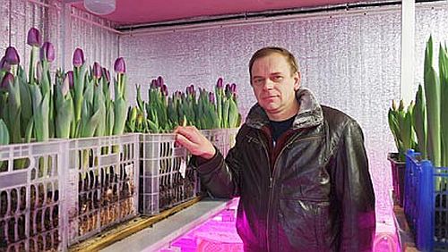 Александр Вихоть