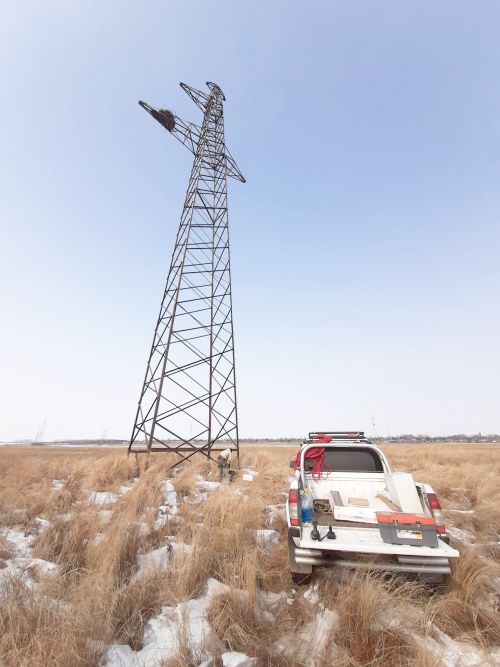 В Амурской области стартует реалити-шоу «Дальневосточный аист онлайн. Третий сезон»