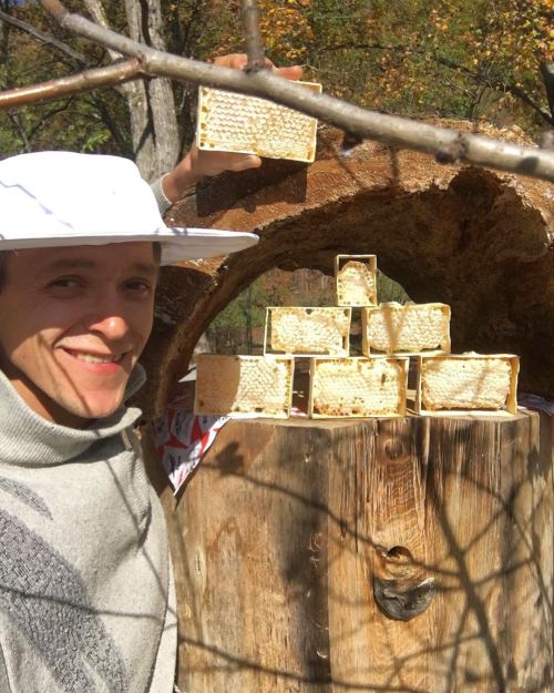 Александр Юркин