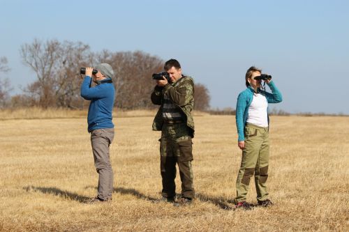 Члены АмурСоЭС Мария Силохина, Антон Сасин и Александр Барбарич на учете журавлей. Фото АмурСоЭС