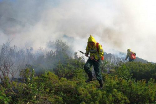 Пожары в Билибинском районе