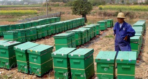 Экспортный мед отличается тем, что на продукцию имеется вся необходимая документация: от результатов лабораторных исследований до паспорта самой пасеки