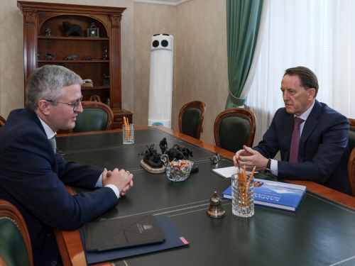 Губернатор Владимир Солодов и зампред Госдумы Алексей Гордеев