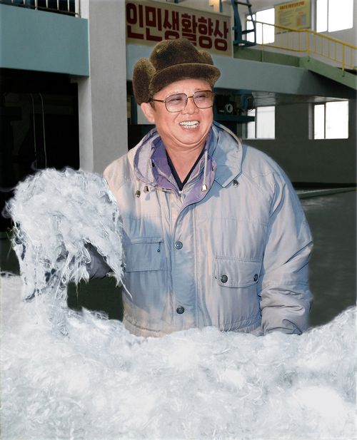 Ким Чен Ир смотрит виналоновую вату. Февраль 99 г. чучхе (2010).